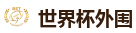 2026美加墨世界杯官网投注平台